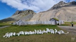 Poblado vikingo, Vestrahorn, Islandia