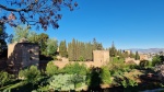 Vista de La Alhambra desde los jardines del Generalife