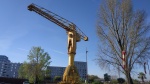 Grue Titan Jaune, Nantes