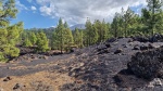 Sendero volcan Chinyero, Tenerife