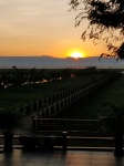 Puesta de sol Lago Inle
Puesta, Lago, Inle