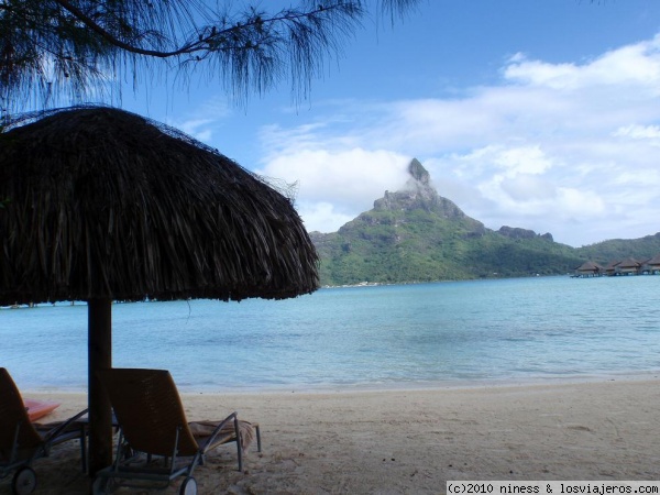 Palmera y vacaciones en Polinesia
Me acordaba de 