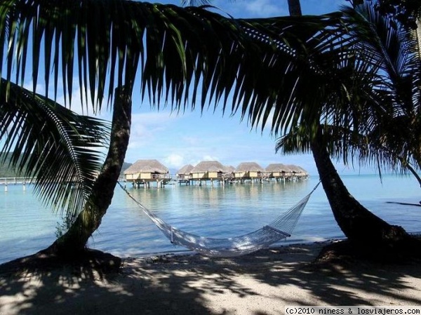 Momento de relax Taha'a Island
Isla de Taha´a. Polinesia
