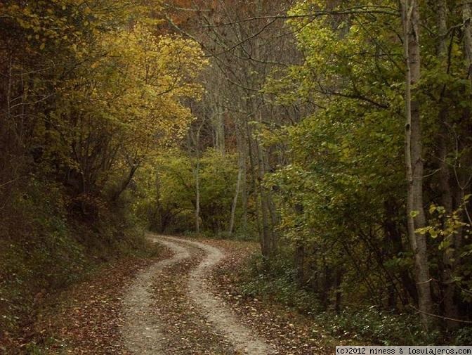 El Camino de Santiago por la Rioja Alavesa - Euskadi