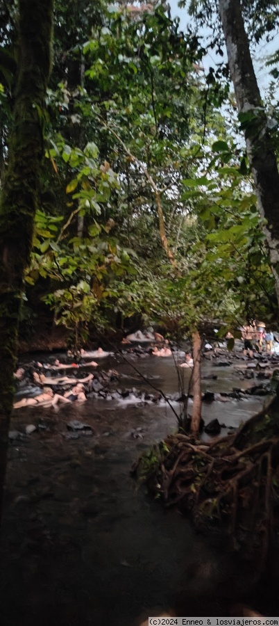 Día 2.- Hacia La Fortuna y PN Volcán Tenorio - Costa Rica, naturaleza y dinero. (6)