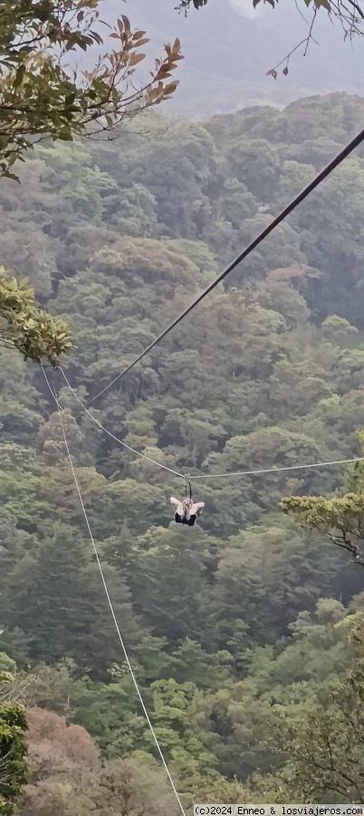 Día 4.- Monteverde - Costa Rica, naturaleza y dinero. (3)