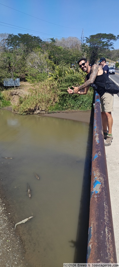 Día 5.- Río Tárcoles y Bahía Ballena. - Costa Rica, naturaleza y dinero. (1)