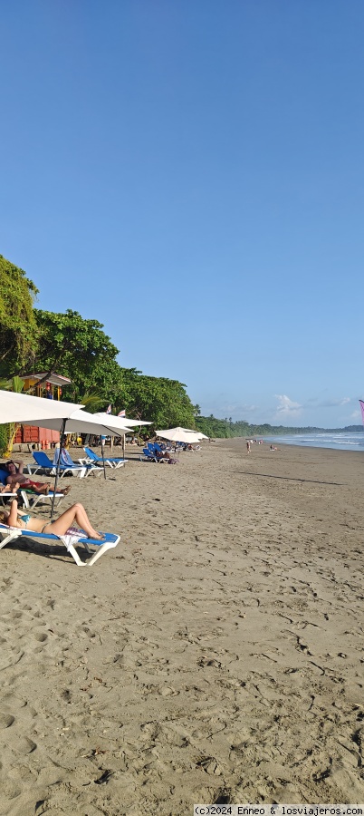 Día 5.- Río Tárcoles y Bahía Ballena. - Costa Rica, naturaleza y dinero. (5)