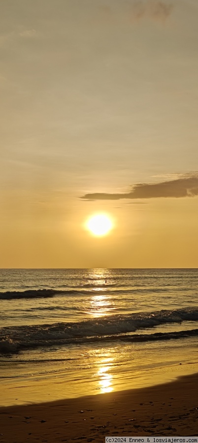 Día 5.- Río Tárcoles y Bahía Ballena. - Costa Rica, naturaleza y dinero. (6)