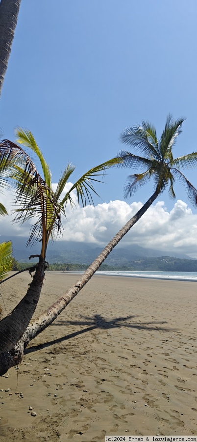 Día 6.- Bahía Ballena y Bahía Drake. - Costa Rica, naturaleza y dinero. (2)