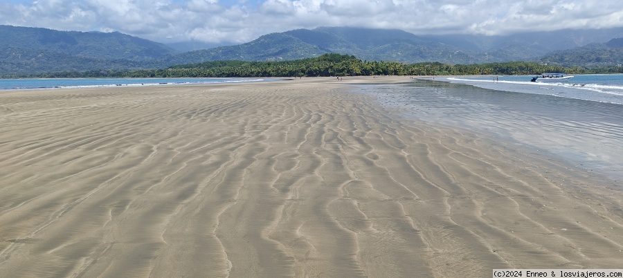 Día 6.- Bahía Ballena y Bahía Drake. - Costa Rica, naturaleza y dinero. (3)