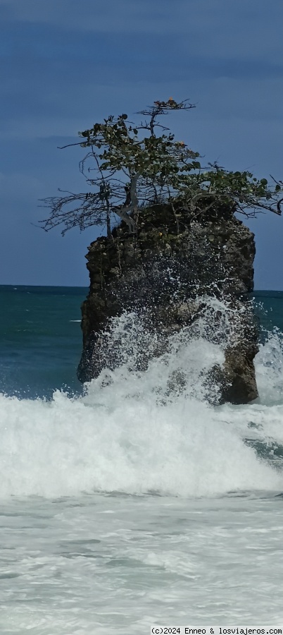 Día 12.- P.N. Manzanillo - Costa Rica, naturaleza y dinero. (1)