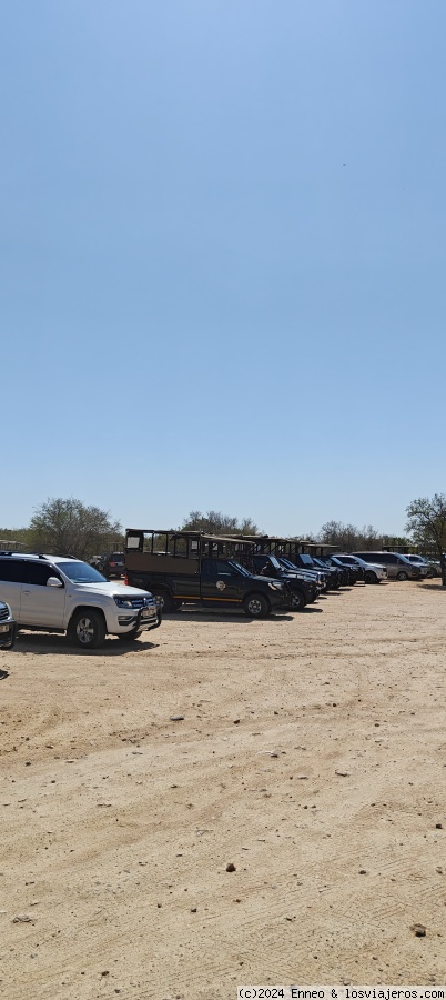 Sudáfrica impactante - Blogs de Sudáfrica - Día 4. Kruger N.P. ( Campamento Shukuza) (2)