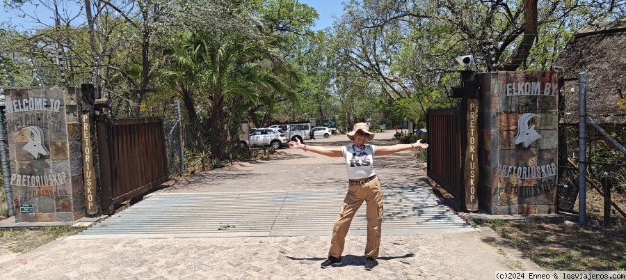 Sudáfrica impactante - Blogs de Sudáfrica - Día 4. Kruger N.P. ( Campamento Shukuza) (4)