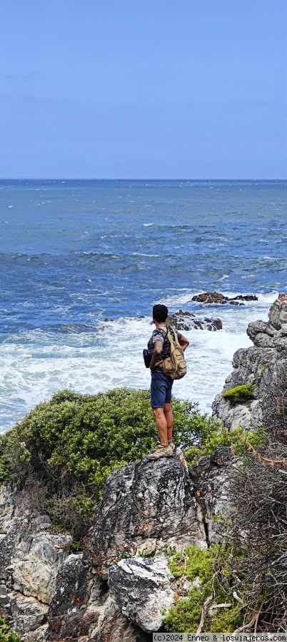 Día 14. CABO AGUJAS- HERMANUS - CAPE TOWN - Sudáfrica impactante (2)