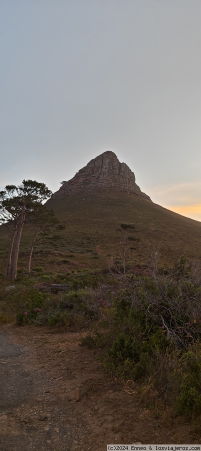 Día 14. CABO AGUJAS- HERMANUS - CAPE TOWN - Sudáfrica impactante (3)