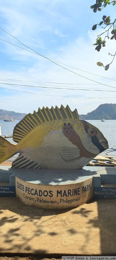 Descubre Filipinas - Blogs de Filipinas - Día 5. Corón (1)