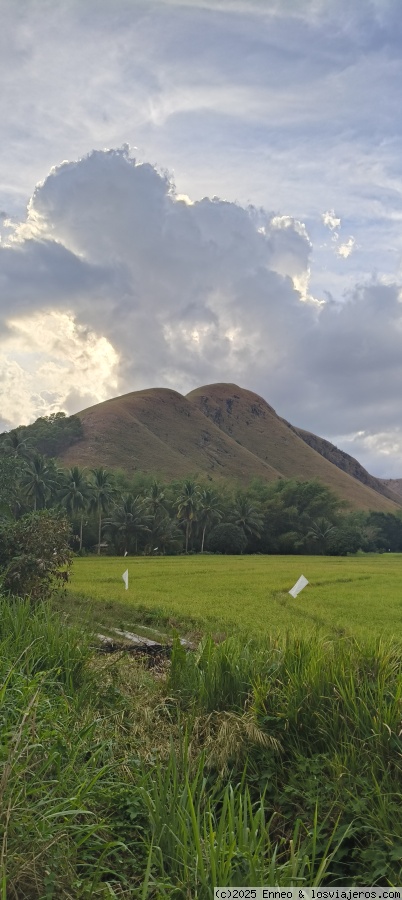 Descubre Filipinas - Blogs de Filipinas - Día 5. Corón (4)