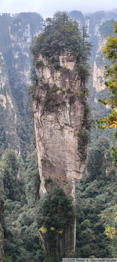 Día 8. Parque forestal de Zhangjiajie ( Avatar) - China me mata (2)