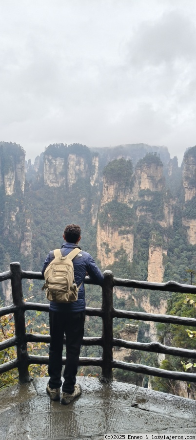 Día 8. Parque forestal de Zhangjiajie ( Avatar) - China me mata (1)