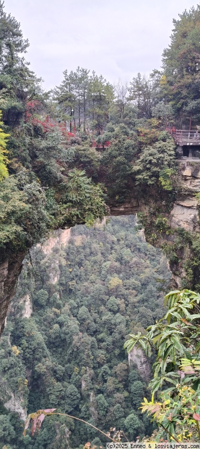 Día 8. Parque forestal de Zhangjiajie ( Avatar) - China me mata (3)