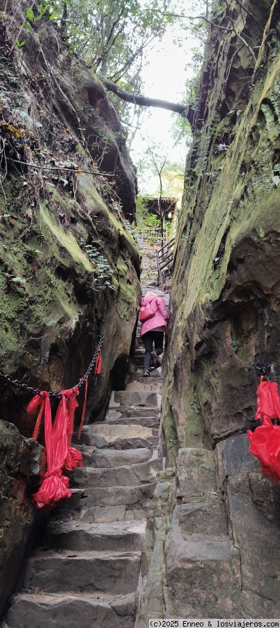 Día 8. Parque forestal de Zhangjiajie ( Avatar) - China me mata (4)