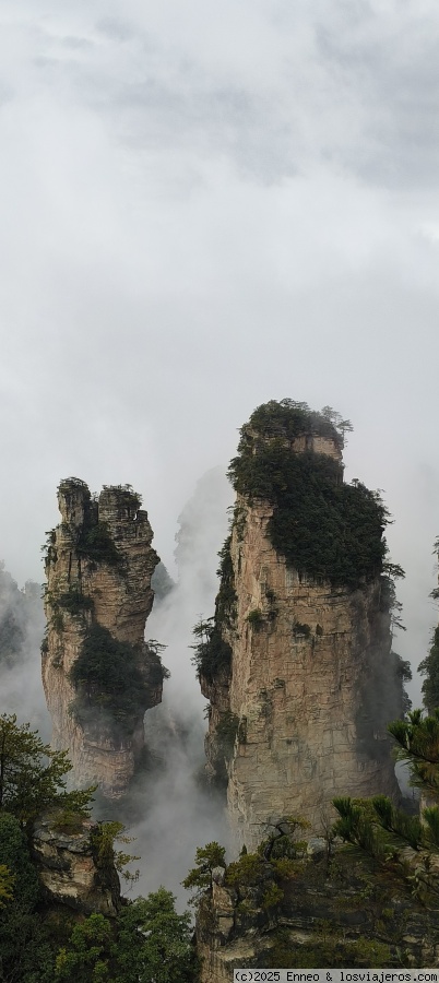 Día 8. Parque forestal de Zhangjiajie ( Avatar) - China me mata (5)