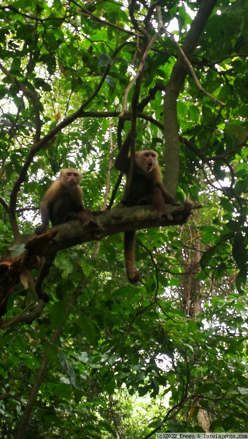 Día 10. Parque Tayrona. - Colombia14 (1)