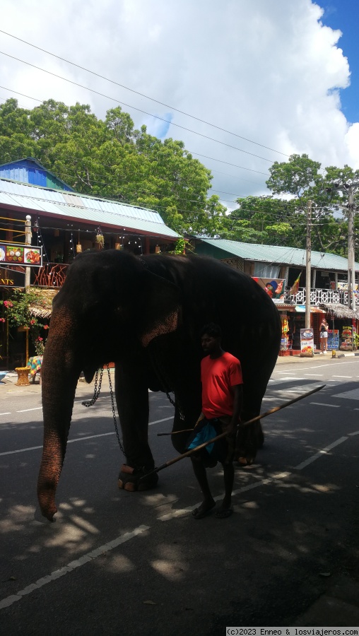 Día 3. Sigiriya y safari - Sri Lanka en tuk tuk. (3)