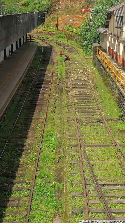 Día 6. Nuwara Eliya - Ella ( en tren) - Sri Lanka en tuk tuk. (2)