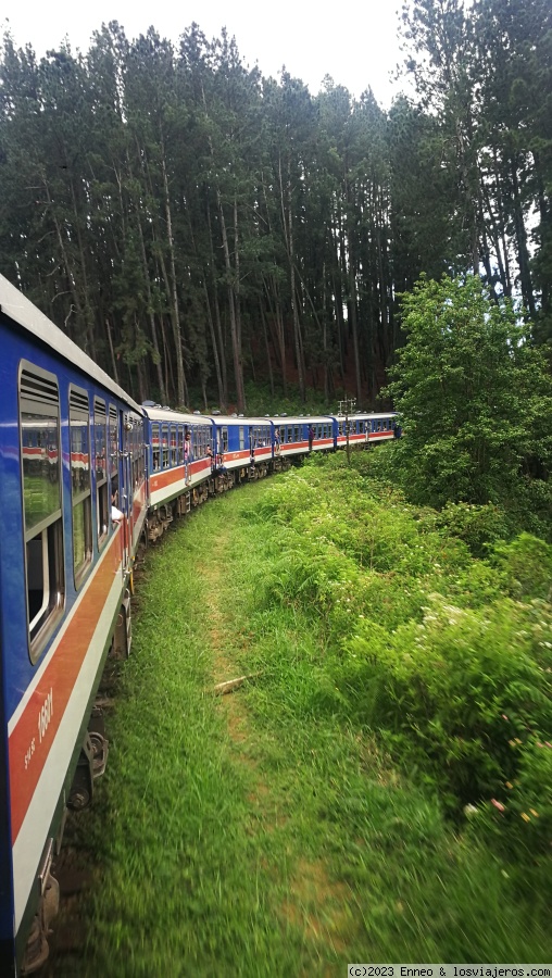 Día 6. Nuwara Eliya - Ella ( en tren) - Sri Lanka en tuk tuk. (5)