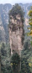 Día 8. Parque forestal de Zhangjiajie ( Avatar)
