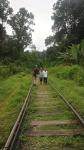 Caminado por las vías