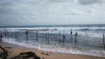 Pescadores zancudos