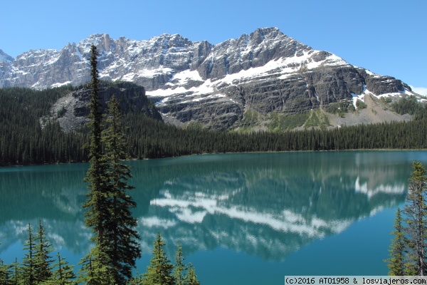 Oesa Lake Trail
Oesa Lake Trail - Yoho National Park
