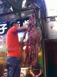 Carne expuesta en barrio musulman
Carne, expuesta, barrio, musulman