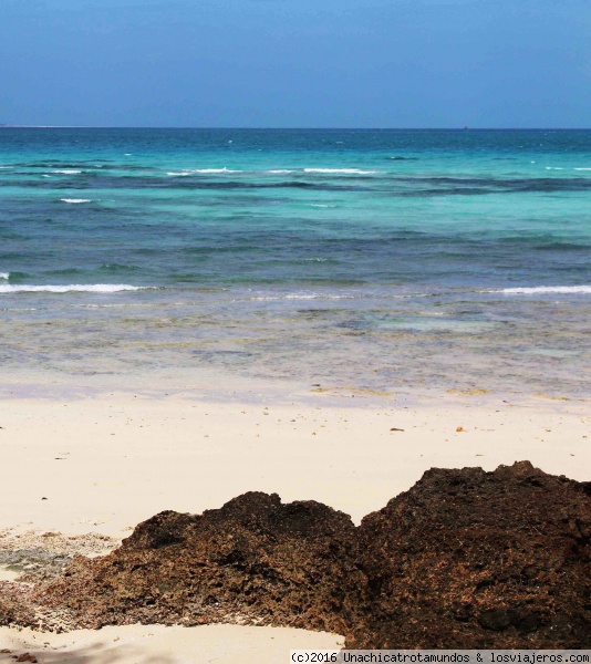 Zanzíbar, Tanzania.
Zanzíbar, Tanzania.
