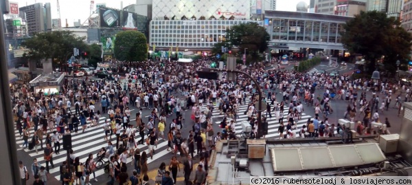 Shibuya
A veces parecemos hormigas caminando sin dirección alguna por un mar de gentes
