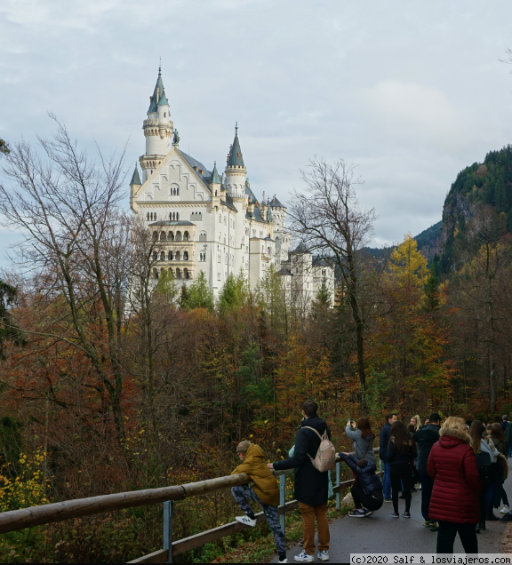 Múnich y castillos rey loco. Puente noviembre de 2019 - Blogs de Alemania - Castillo Neuschwanstein (01/11 - Mañana) (2)