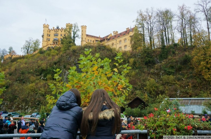 Múnich y castillos rey loco. Puente noviembre de 2019 - Blogs de Alemania - Castillo Neuschwanstein (01/11 - Mañana) (1)