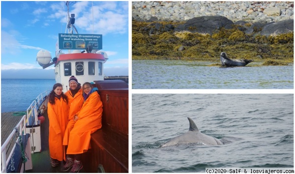 Seal Watching Tour
Seal Watching Tour
