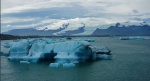 Laguna, icebergs y lenguas glaciares