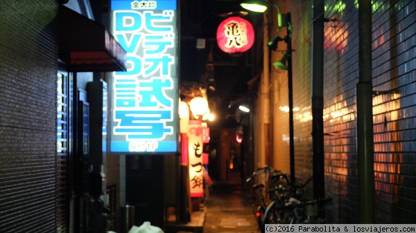 Japón por libre 12 días - Blogs de Japon - Día 1: Llegada a Tokyo-Kyoto (1)