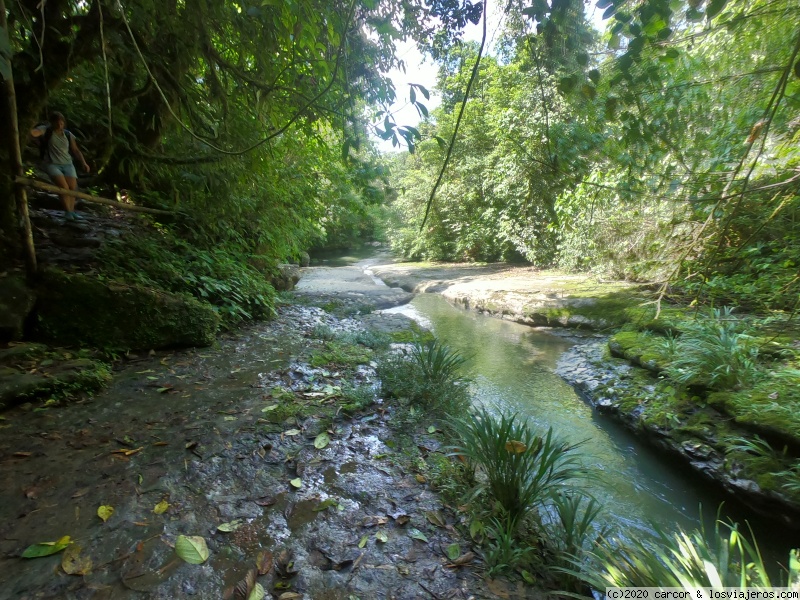 Día 22/1 - Puerto Misahuallí y la Cascada de la Lata - Ecuador del mar al Amazonas (3)