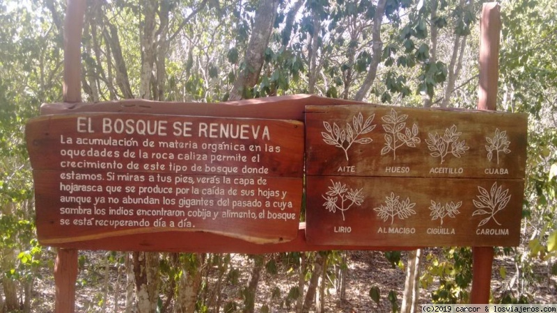 09/01/19 - Sendero "El Guafe" Cabo Cruz - VIAJE A CUBA II  -- Enero 2019 (2)