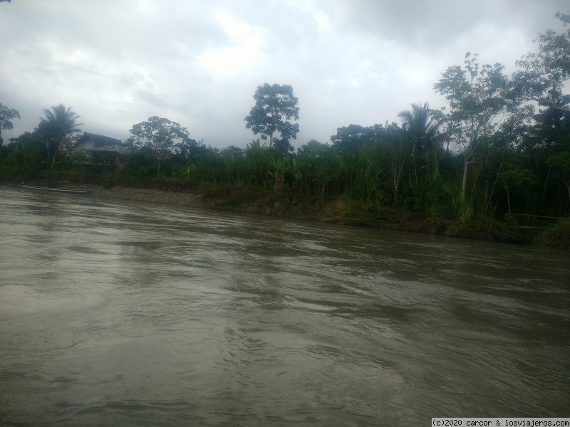 Dïa 23/1 - Puerto Misahuallí y una Comunidad Shuar sobre el Río Napo - Ecuador del mar al Amazonas (1)