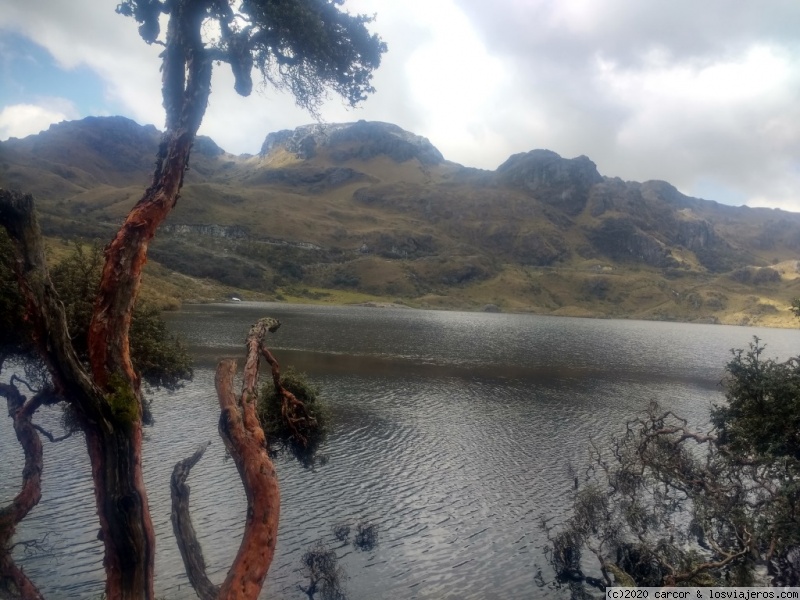 Día 27/1 - Cuenca y el Parque nacional Cajas - Ecuador del mar al Amazonas (2)