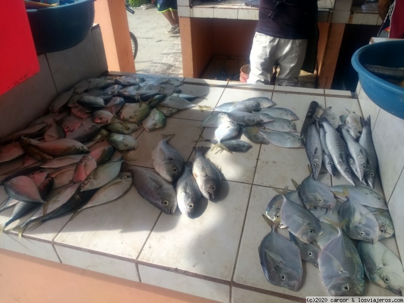 Día 31/1 - San Pablo entre el descanso y la comida - Ecuador del mar al Amazonas (3)