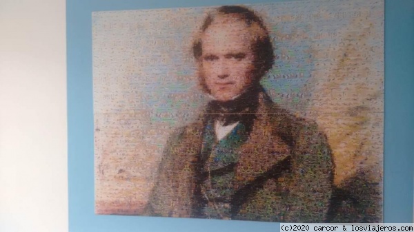 Charles Darwin hecho con miles de pequeñas fotografías de la naturaleza
Charles Darwin hecho con miles de pequeñas fotografías de la naturaleza
