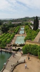 Jardines del Alcázar
Jardines, Alcázar, vista, jardines, desde, torre